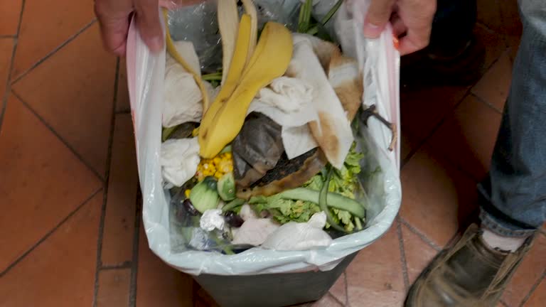Best Construction Debris Removal  in Elkins Rk, PA